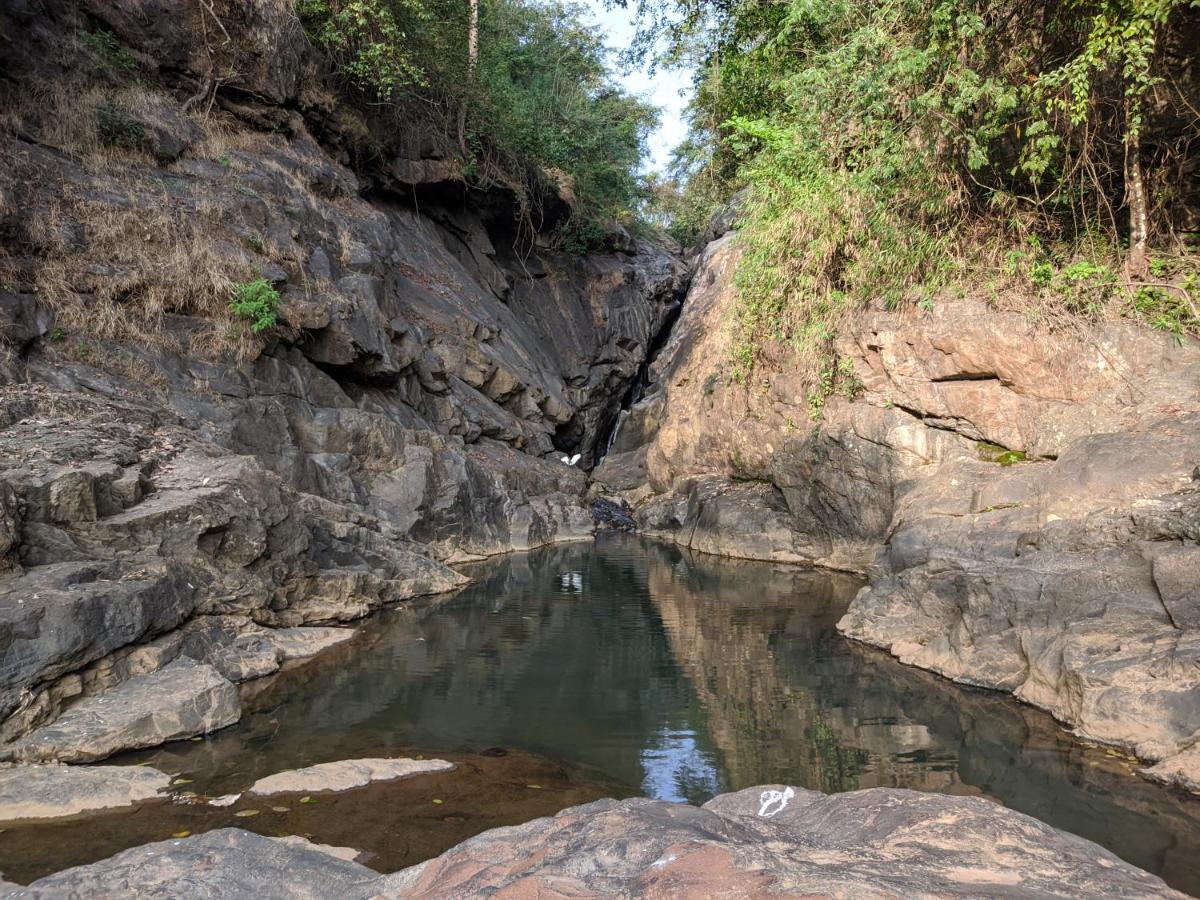 Riverbench Homestay Munnar Anaviratty Exteriör bild