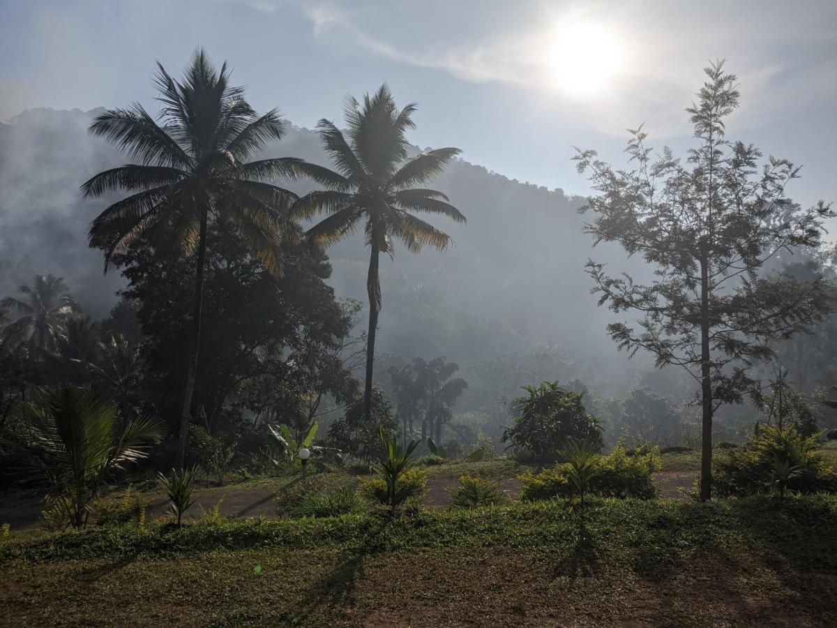 Riverbench Homestay Munnar Anaviratty Exteriör bild