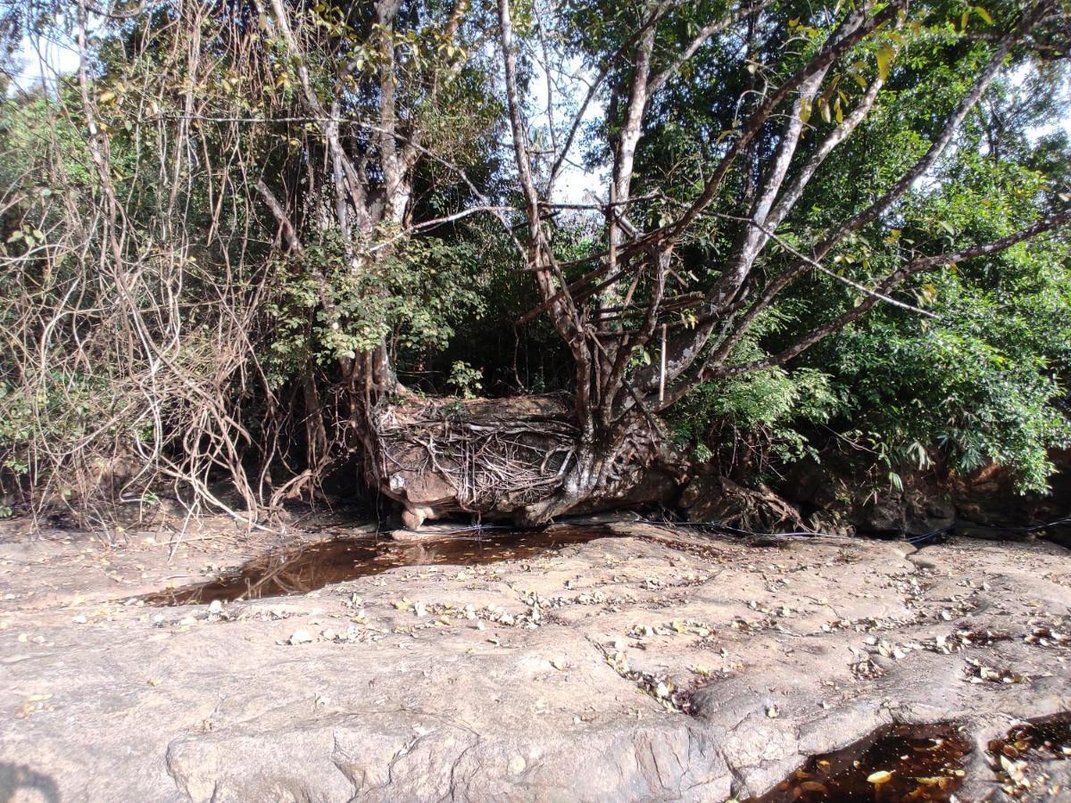 Riverbench Homestay Munnar Anaviratty Exteriör bild