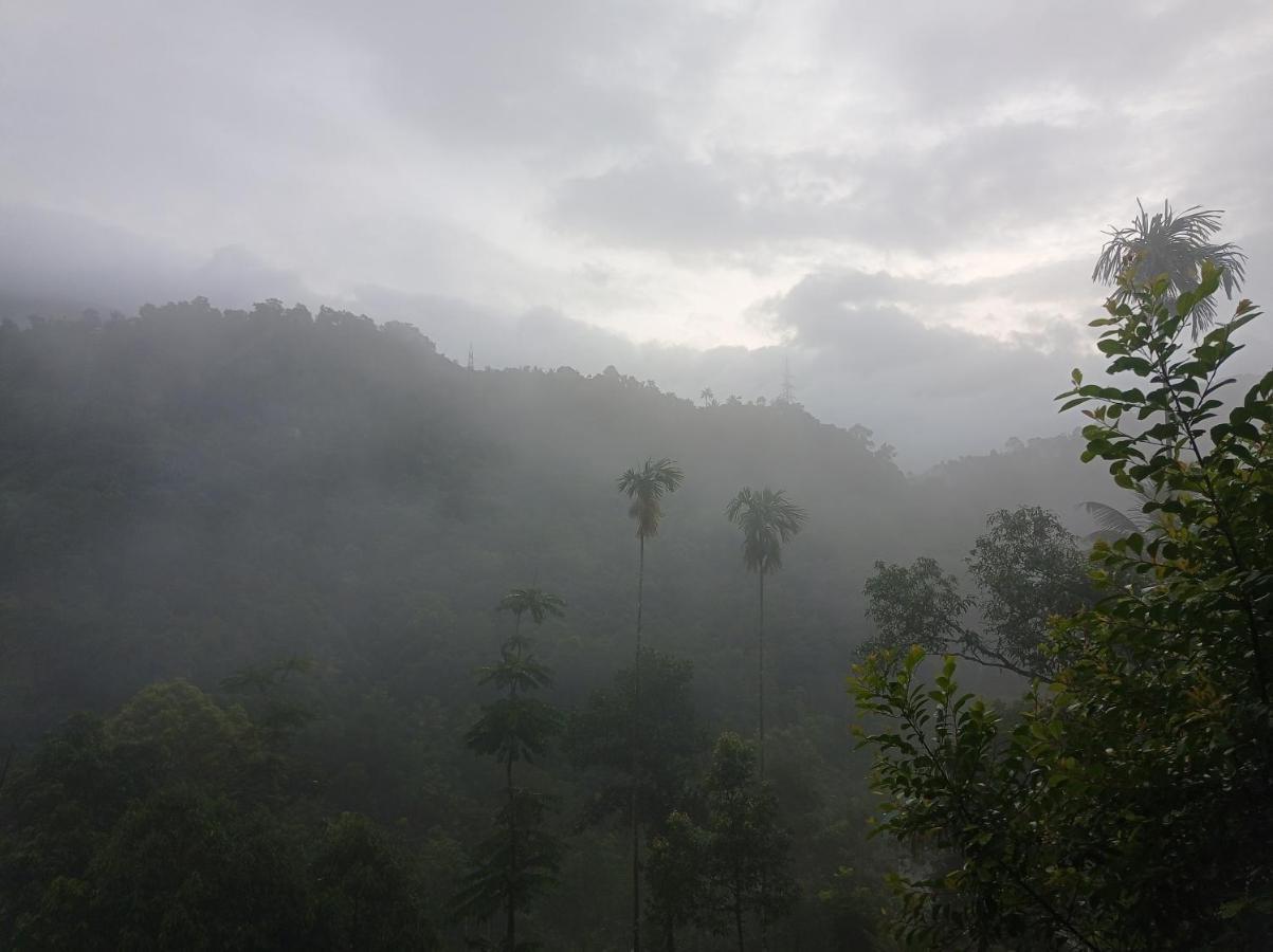 Riverbench Homestay Munnar Anaviratty Exteriör bild