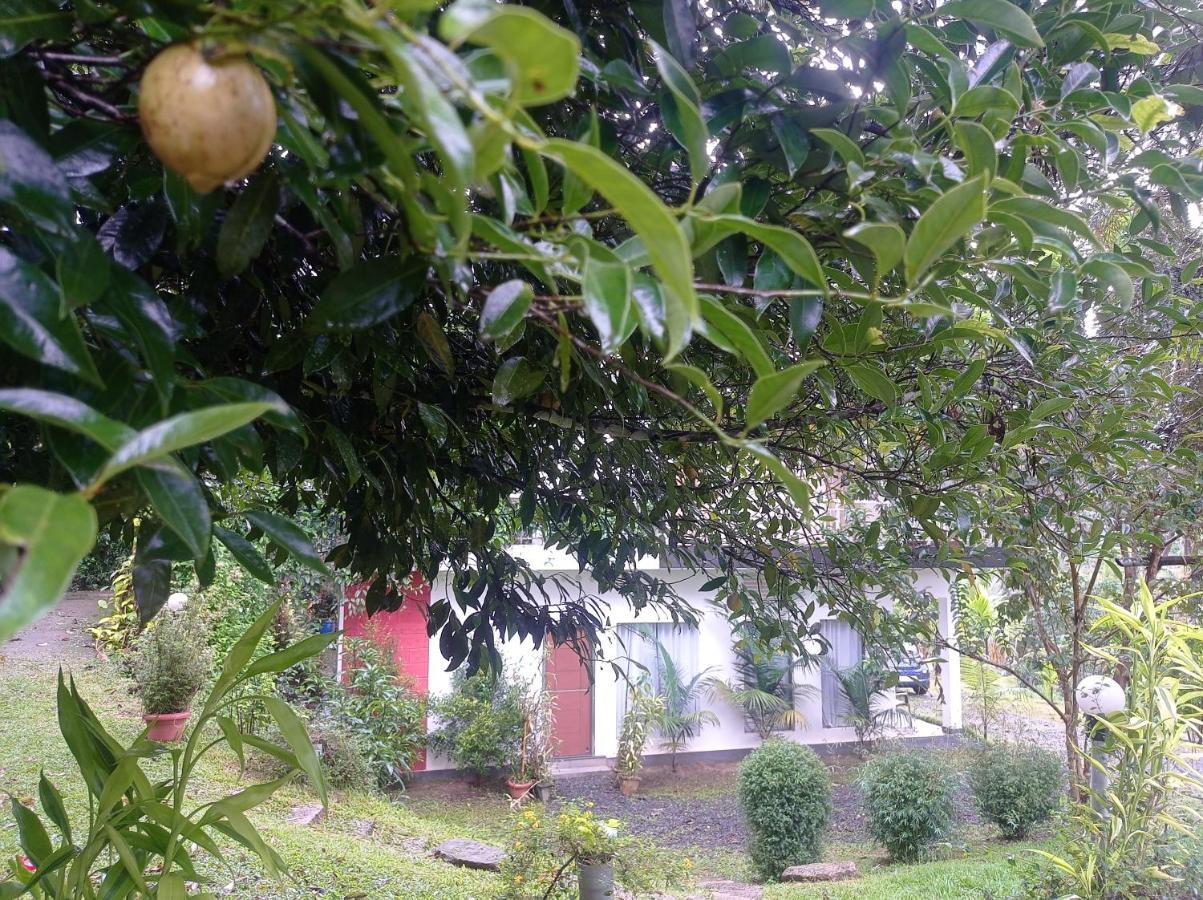 Riverbench Homestay Munnar Anaviratty Exteriör bild