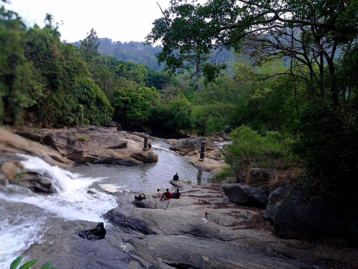 Riverbench Homestay Munnar Anaviratty Exteriör bild