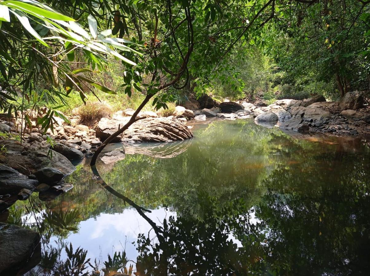 Riverbench Homestay Munnar Anaviratty Exteriör bild