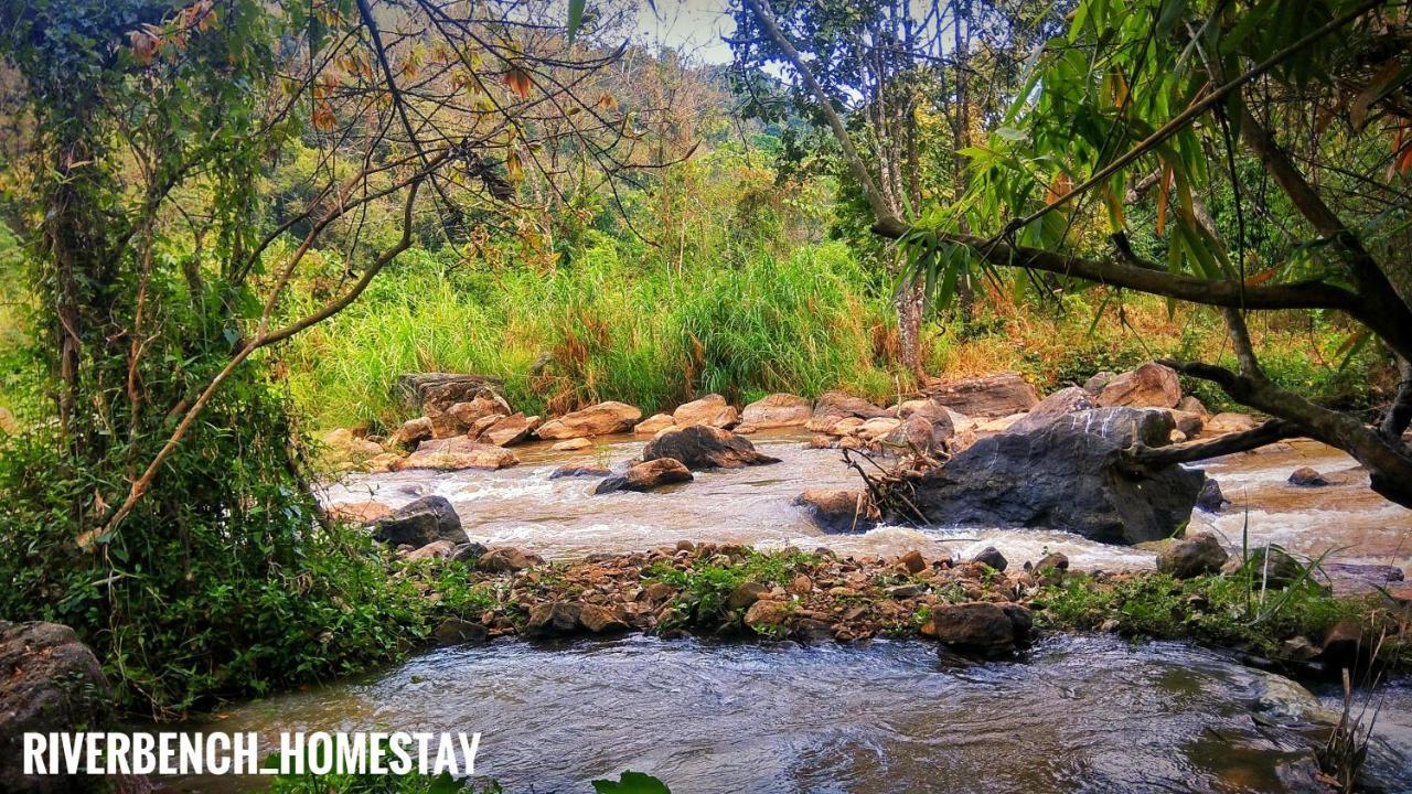 Riverbench Homestay Munnar Anaviratty Exteriör bild